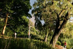 photo 0083
